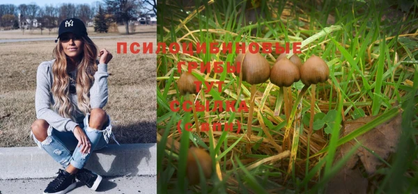 гидропоника Заволжск