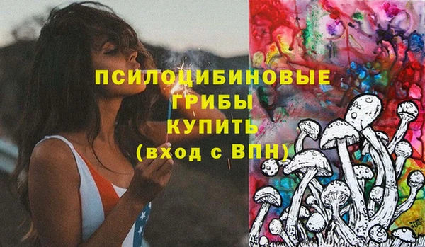 apvp Заволжье