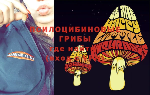 гидропоника Заволжск