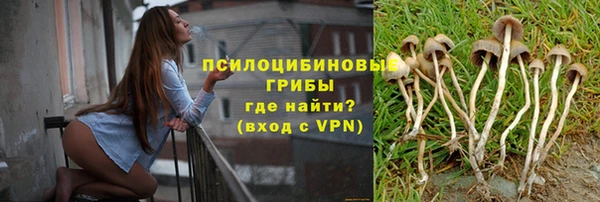 гидропоника Заволжск