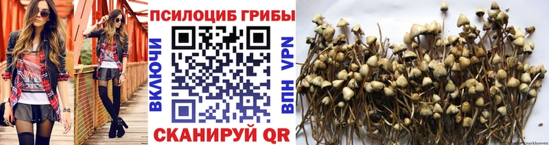 Купить  Карабаш  Псилоцибиновые грибы GOLDEN TEACHER 